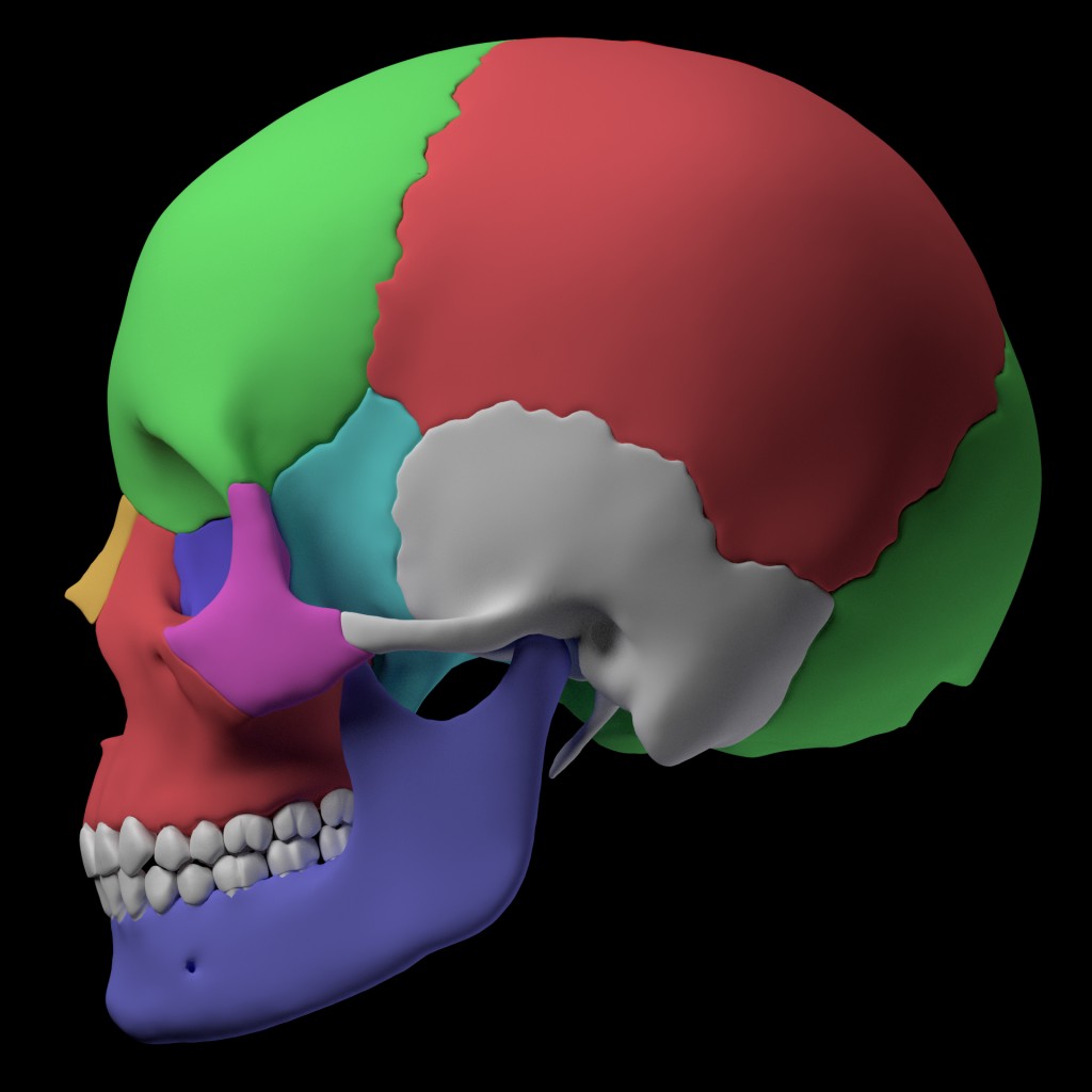 Hight quality skull - GLSL Version preview image 2